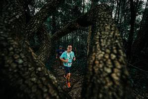 BIB: 
                            <button type="button" onclick="openModal(25676980)" class="btn btn-primary btn-sm float-right btn-popup" data-toggle="modal" data-target=".modal-high-quality">
                        <i class="fas fa-shopping-cart"></i> Add to Cart
                    </button>
                                            <button type="button" onclick="isThisMe(25676980, true)" class="btn btn-success btn-sm float-right btn-popup btn-isme hidden" data-toggle="tooltip" data-placement="bottom" title="นี่คือรูปของคุณใช่ไหม คลิกที่นี่เพื่อเอาเข้าอัลบั้ม">
                        <i class="fas fa-plus"></i> Add to album
                    </button>
                    <button type="button" onclick="isThisMe(25676980, false)" class="btn btn-warning btn-sm float-right btn-popup btn-isnotme hidden">
                        <i class="fas fa-ban"></i> Remove from album
                    </button>